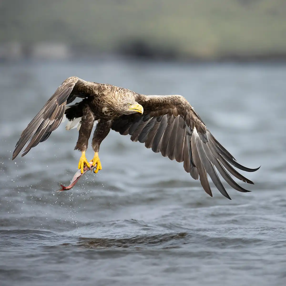 Discover Wildlife and Birdlife Discover Wildlife and Birdlife